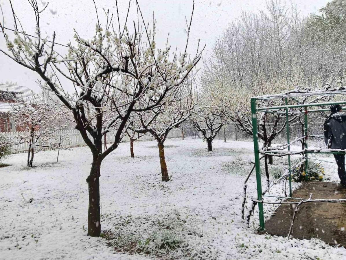 فيلا Plitvice Oaza Mira سوملجاناك المظهر الخارجي الصورة