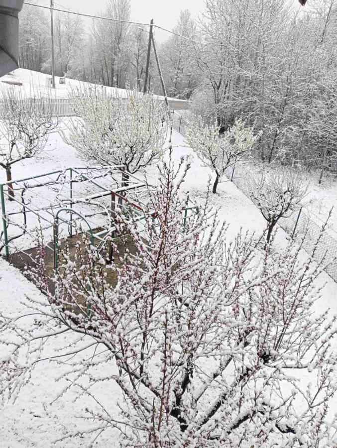 فيلا Plitvice Oaza Mira سوملجاناك المظهر الخارجي الصورة
